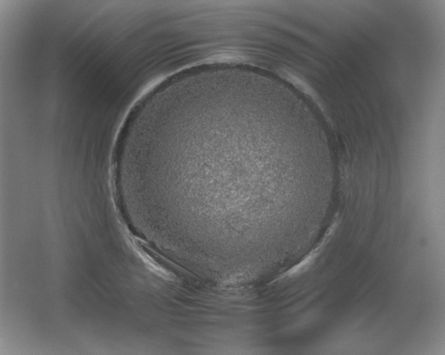 X0000067461029200604071123