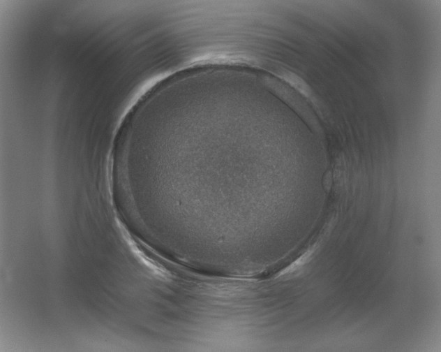 X0000067461030200604071123