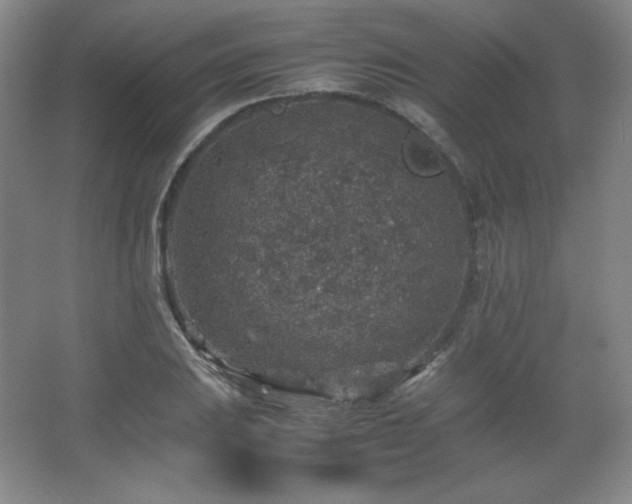 X0000067461031200604071123