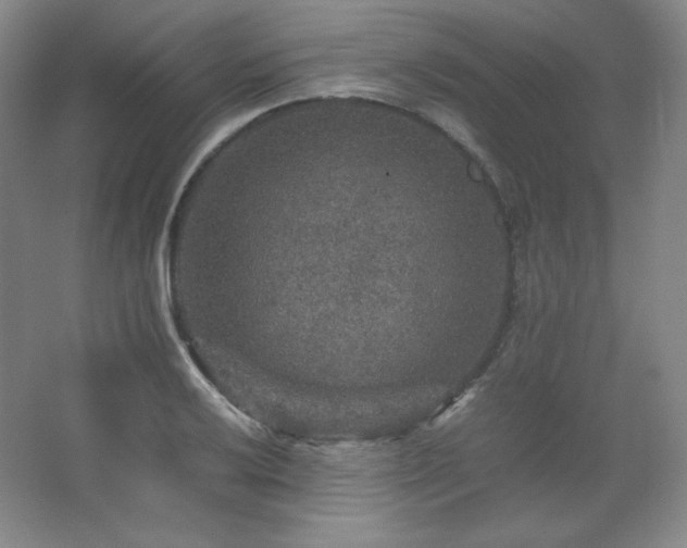 X0000067461032200604071123