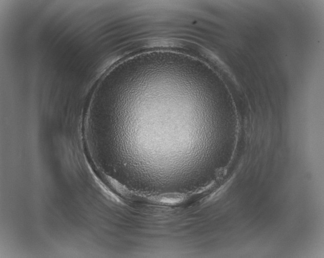 X0000067461033200604071123