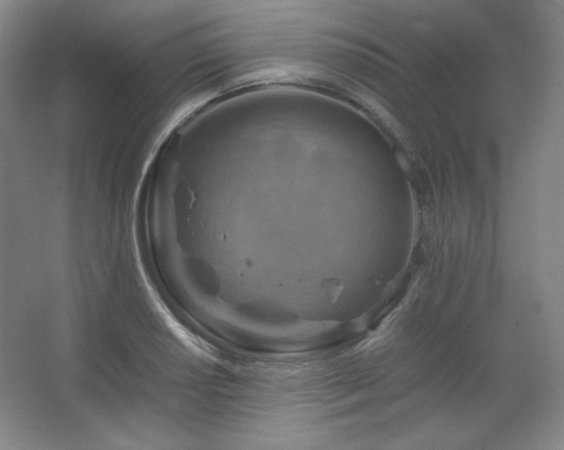 X0000067461034200604071123