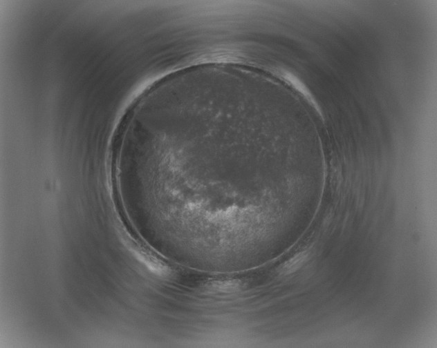 X0000067461035200604071123