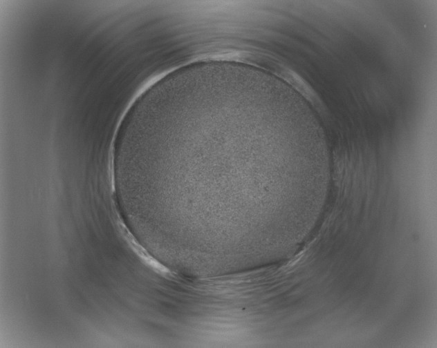 X0000067461036200604071123