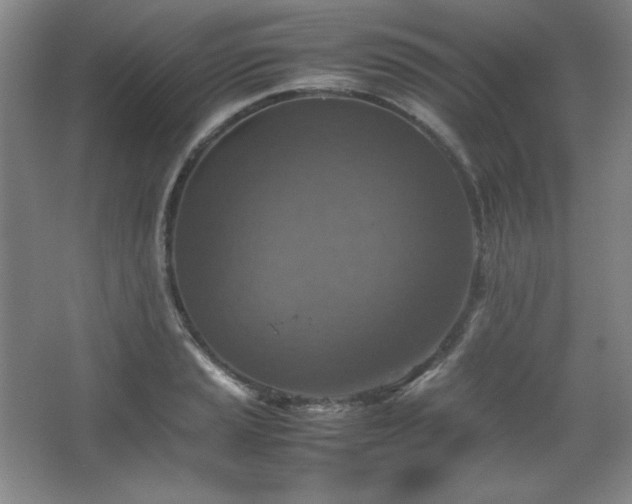 X0000067461037200604071123