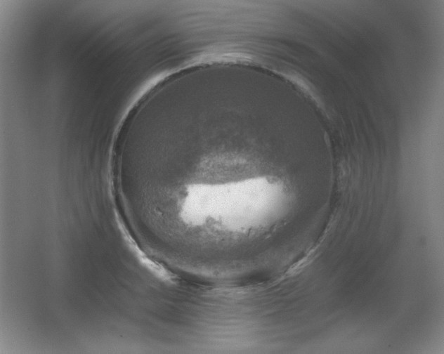 X0000067461038200604071123