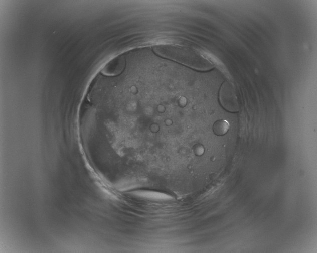 X0000067461039200604071123