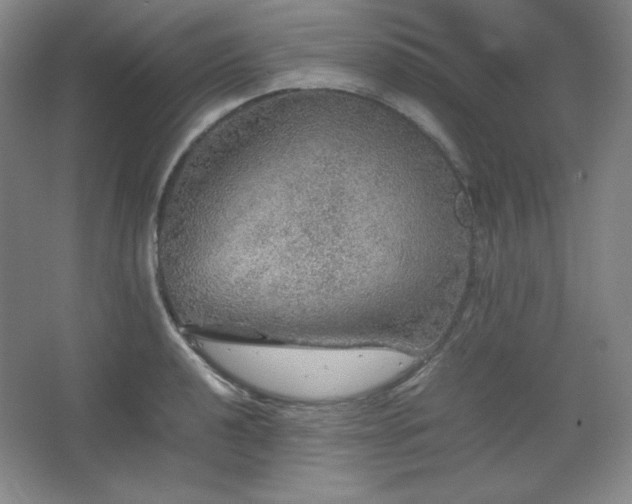 X0000067461040200604071123