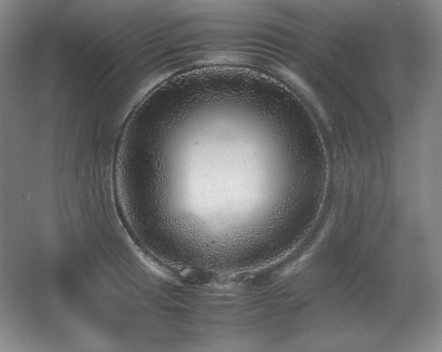 X0000067461041200604071123