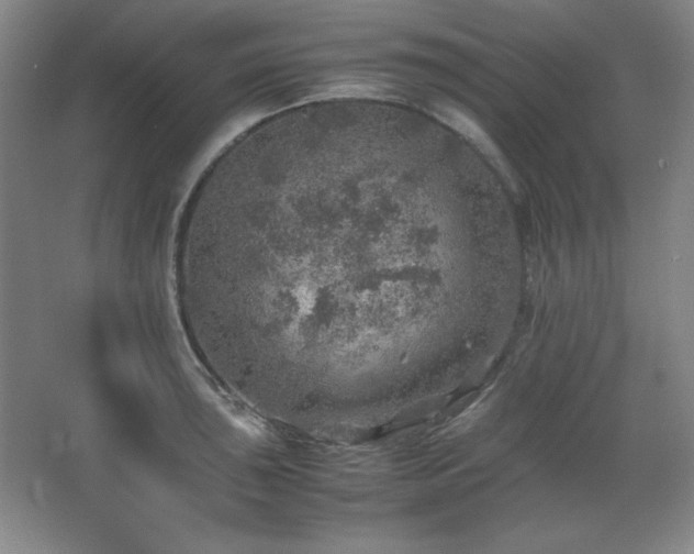 X0000067461043200604071123