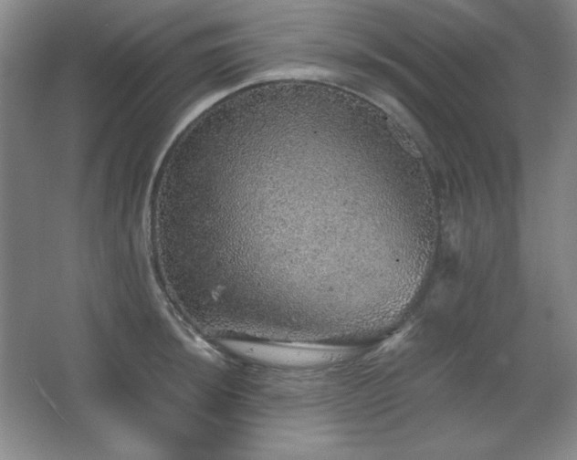 X0000067461044200604071123