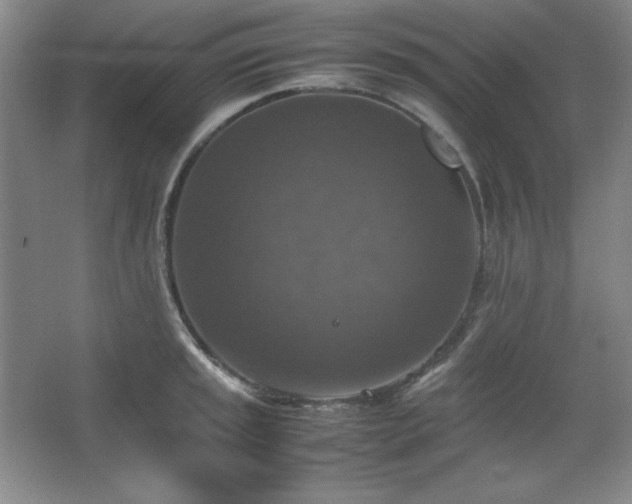 X0000067461045200604071123