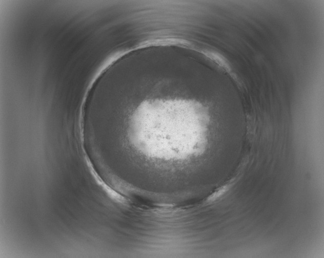 X0000067461046200604071123