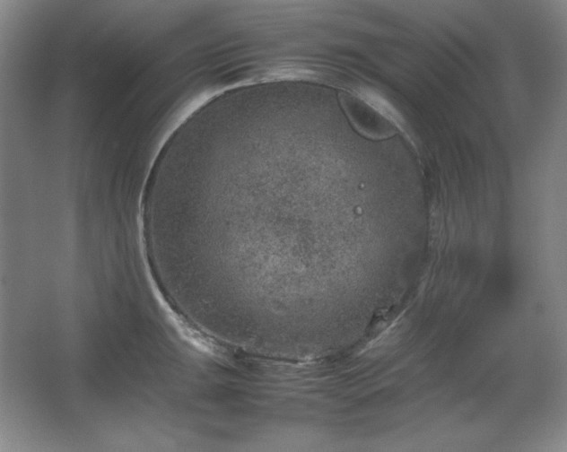 X0000067461047200604071123