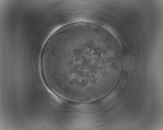 X0000067461048200604071123