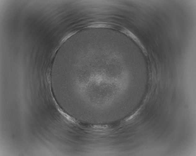 X0000067461049200604071123