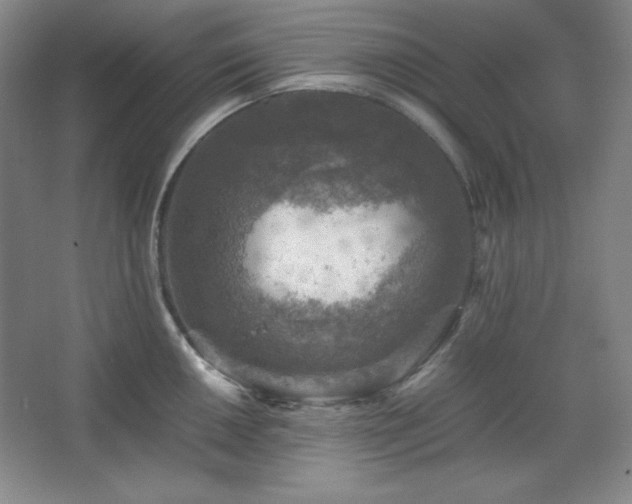 X0000067461050200604071123