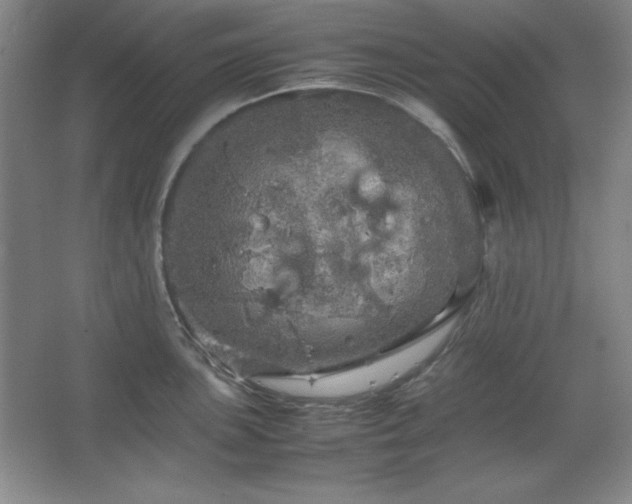 X0000067461051200604071123