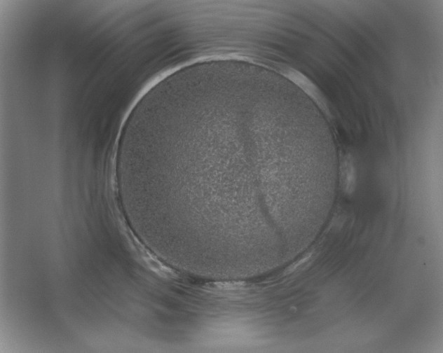 X0000067461052200604071123