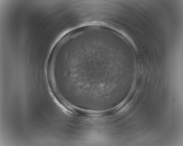 X0000067461054200604071123