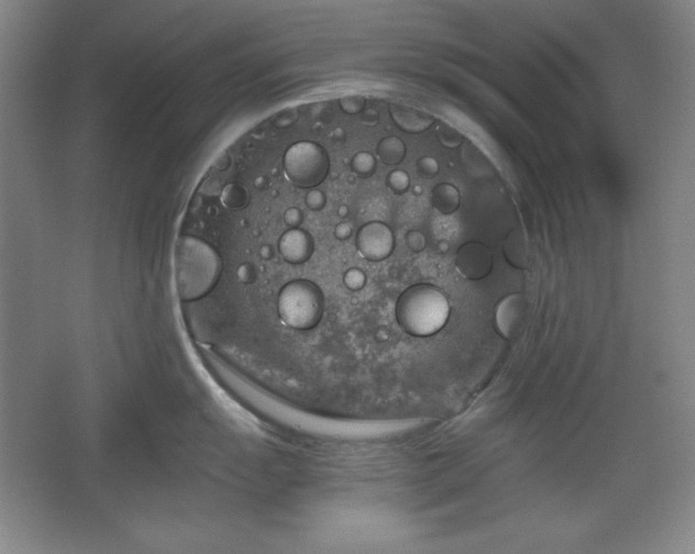 X0000067461055200604071123