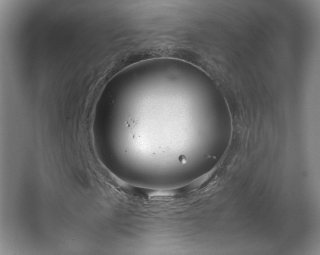 X0000067461057200604071122