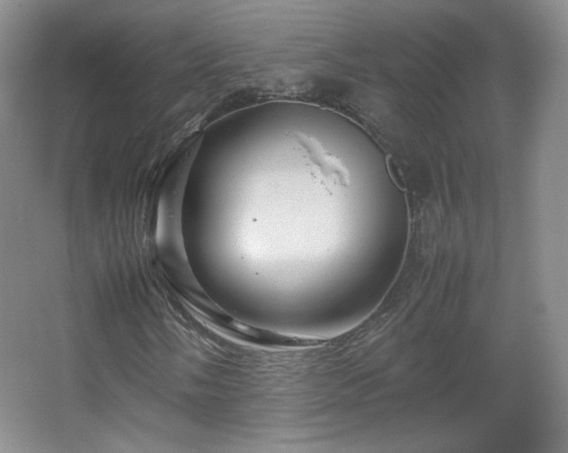 X0000067461058200604071122