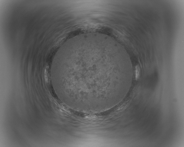 X0000067461059200604071122