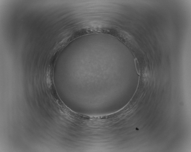 X0000067461060200604071122