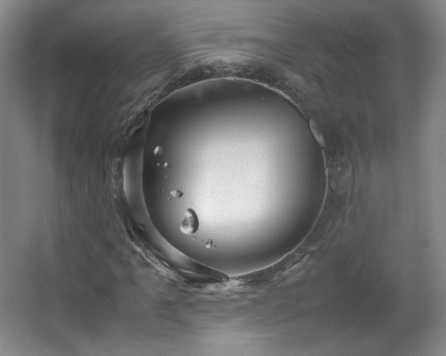 X0000067461061200604071122