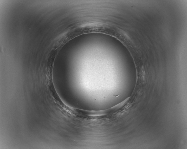 X0000067461062200604071122