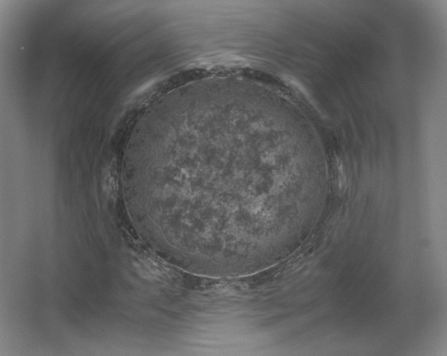 X0000067461063200604071122