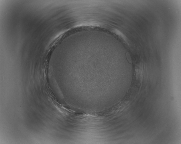 X0000067461064200604071122