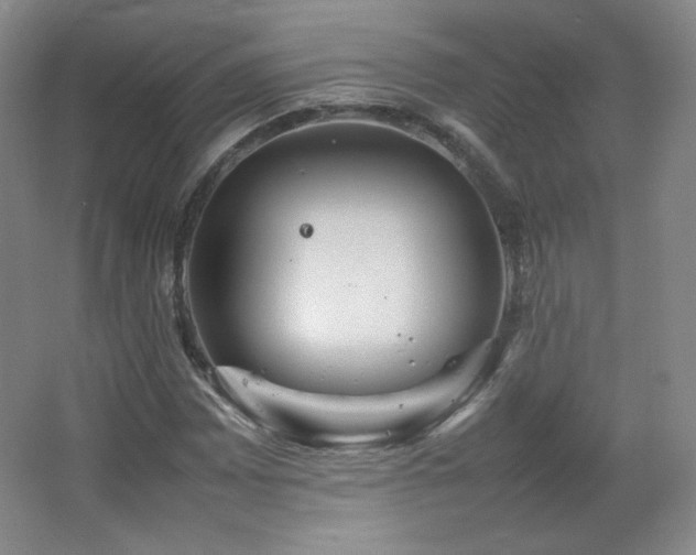 X0000067461065200604071122