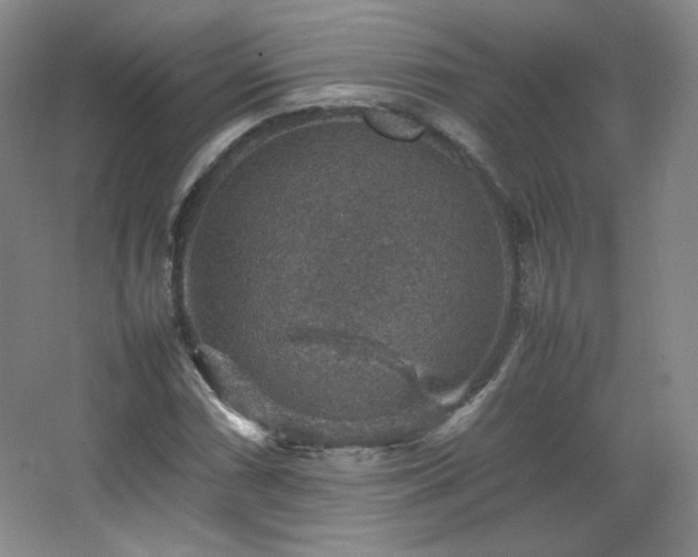 X0000067461066200604071122