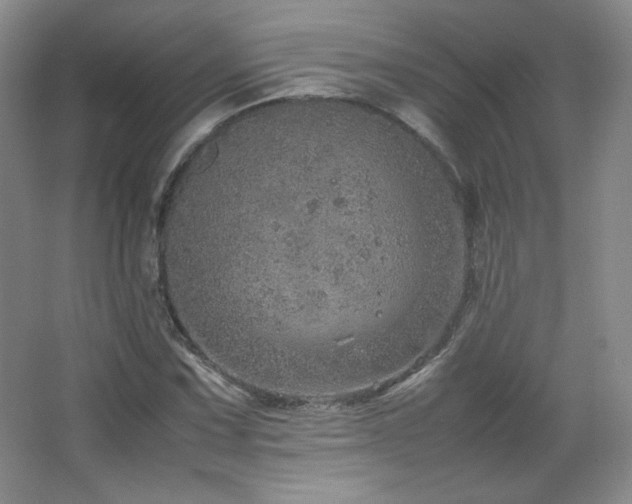 X0000067461067200604071122