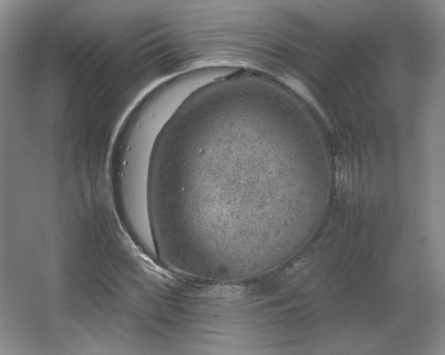 X0000067461068200604071122