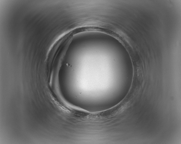 X0000067461069200604071122