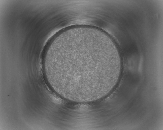 X0000067461070200604071122