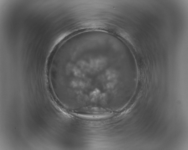 X0000067461071200604071122