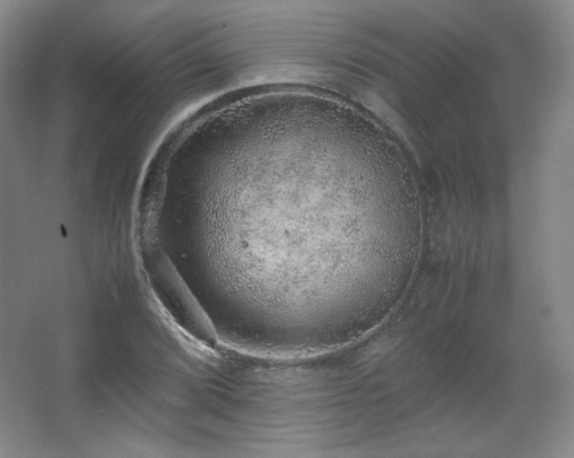 X0000067461072200604071122