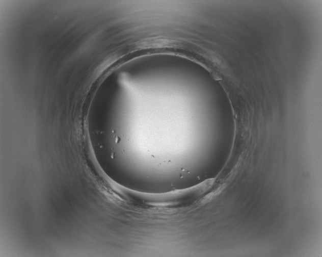 X0000067461073200604071122