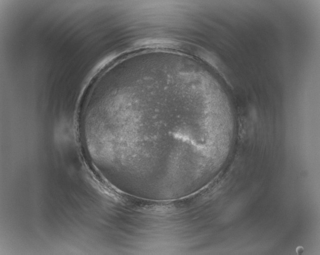 X0000067461074200604071122