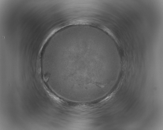 X0000067461075200604071122