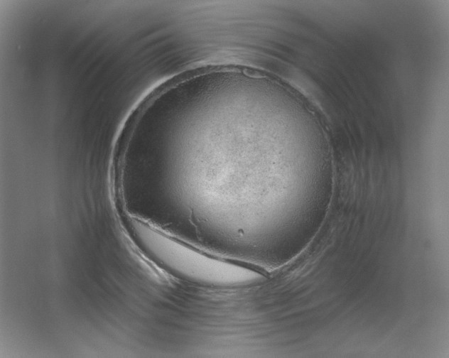 X0000067461076200604071122