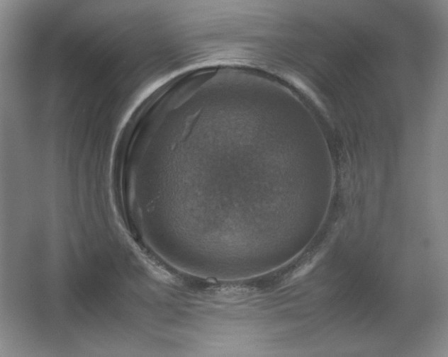 X0000067461077200604071122