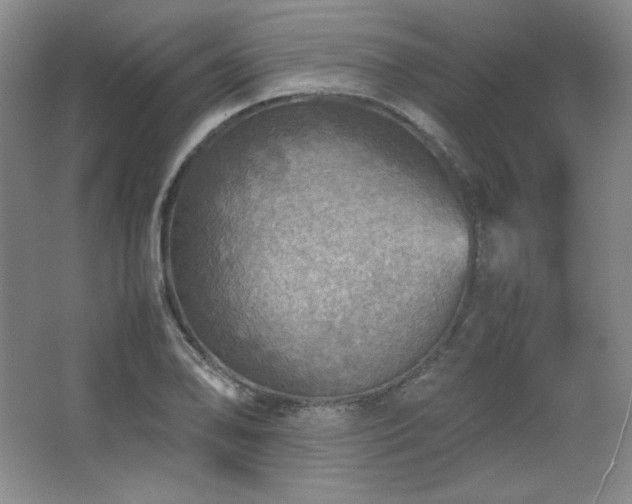 X0000067461078200604071122