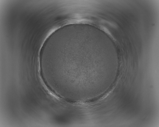 X0000067461079200604071122