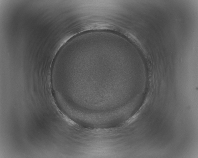 X0000067461081200604071122