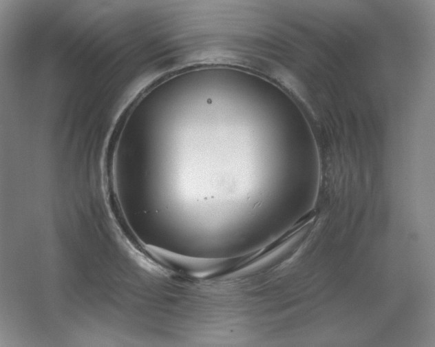 X0000067461082200604071122